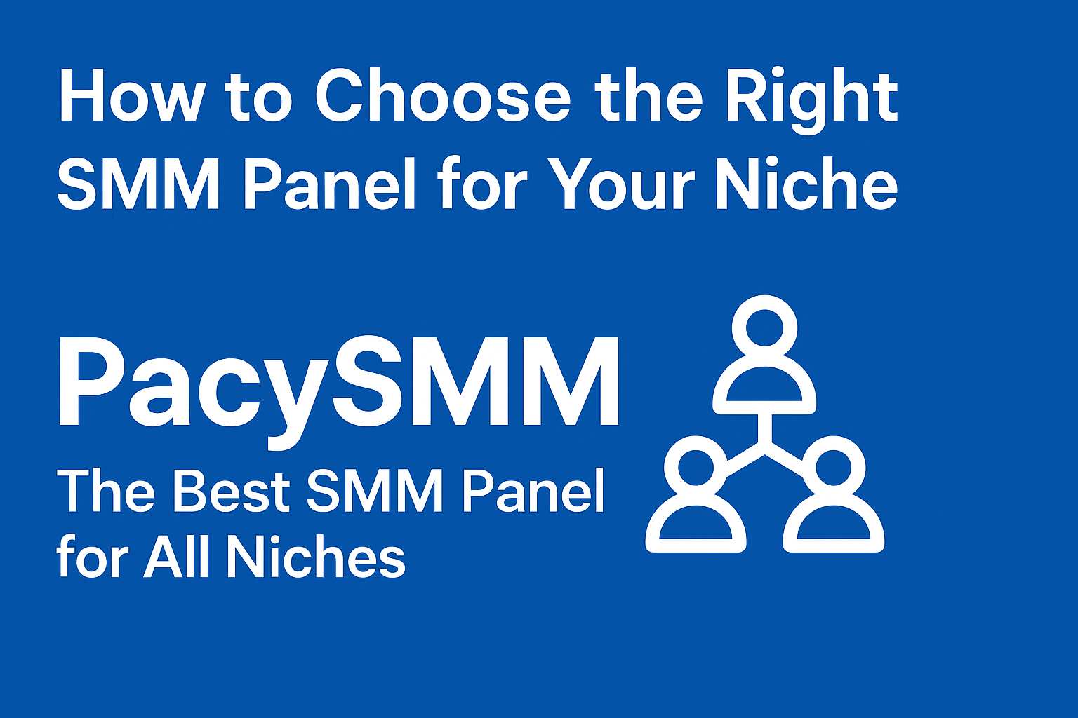 howdashtodashchoosedashthedashrightdashsmmdashpaneldashfordashyourdashniche